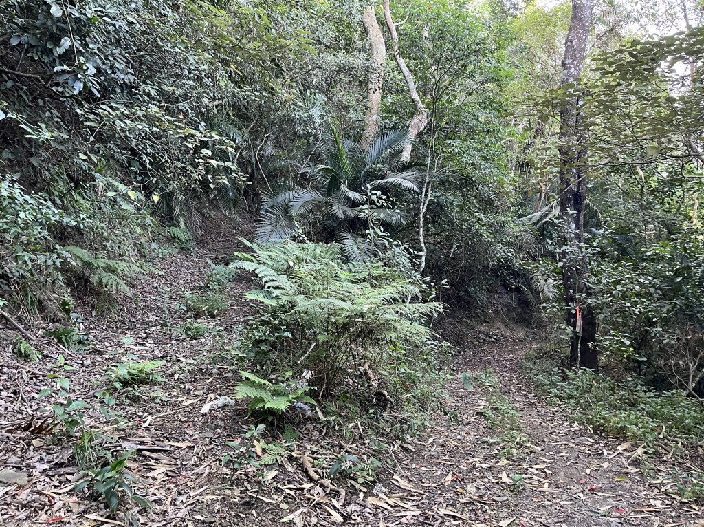 2023_1119 西阿里關山_2353854