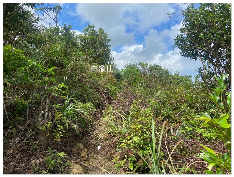 瑞芳四秀 連走一圈_2616320