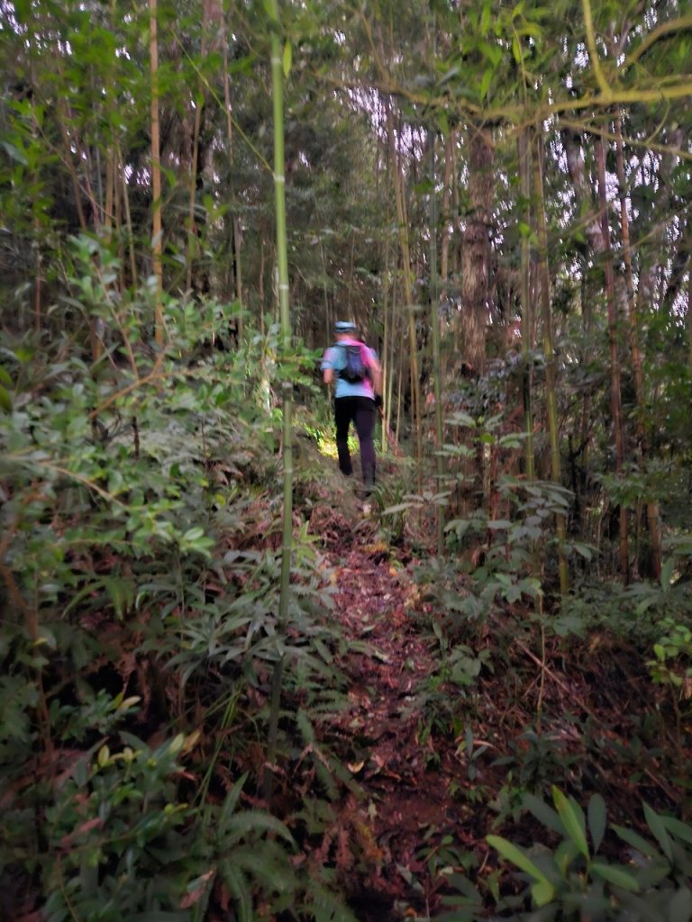 20241103拉庫山主西峰-那結山-拉號山-嘎色鬧山-牛角山_2642467