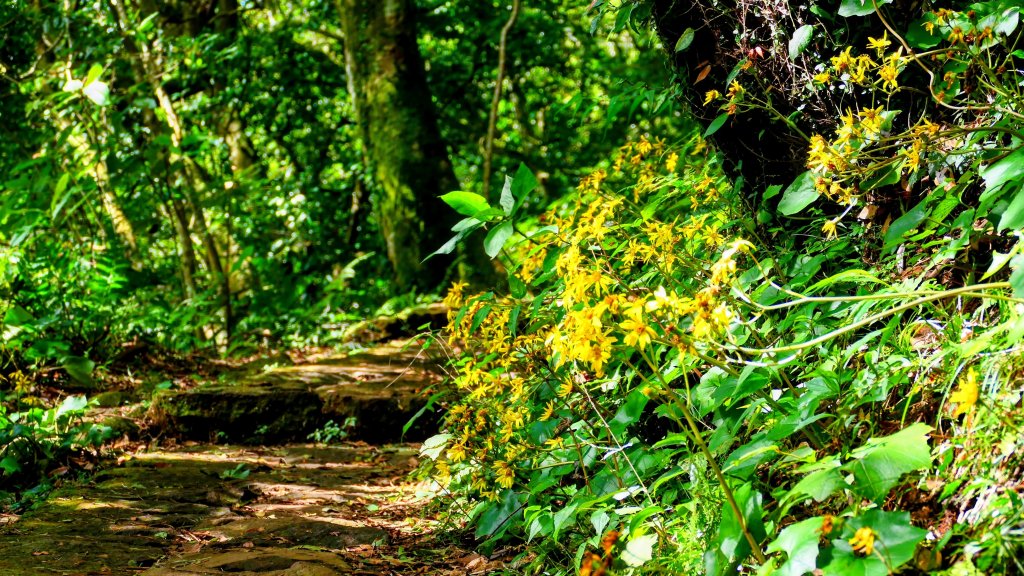 向天蝦不蝦_2936806