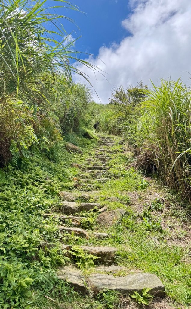 上磺溪橋走魚路古道/金包里城門/擎天崗/冷水坑_2872343