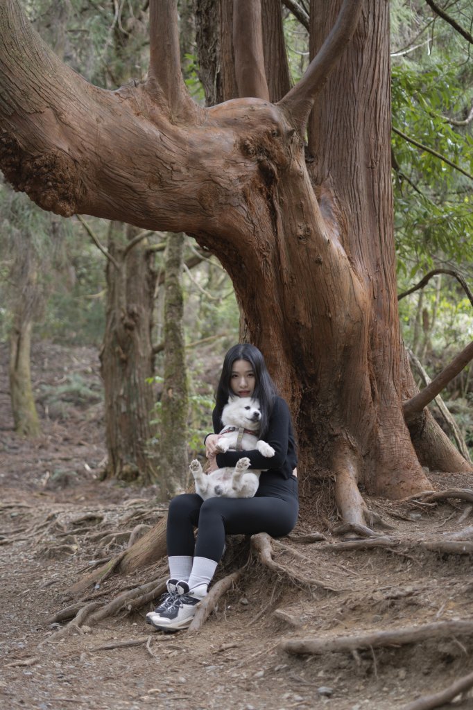 全家一起爬馬崙山順便上馬白稜線藏水 2024.3.28_2468252