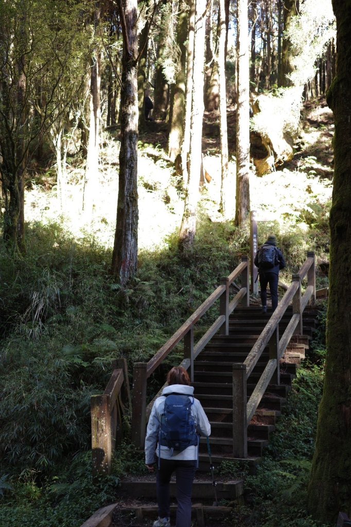 眠月線單攻_2693920