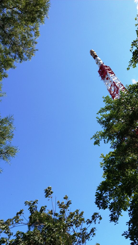 台北大縱走第六段_1491574