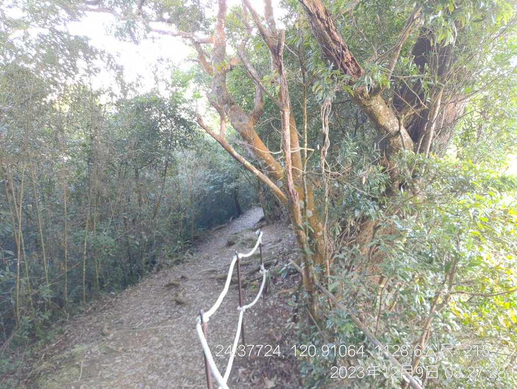 20231209_馬那邦山_2374542