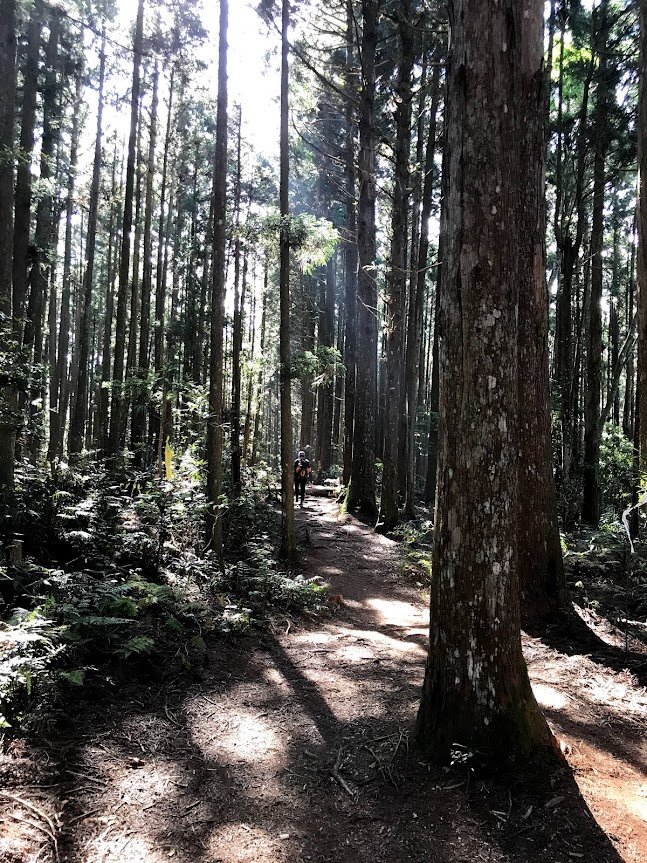 高島縱走（高台山連走島田山）20210508_1968721