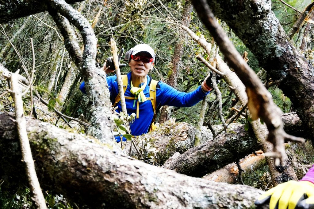 閂山、鈴鳴山 ~ 山巔雲端 , 與美麗山林_307292
