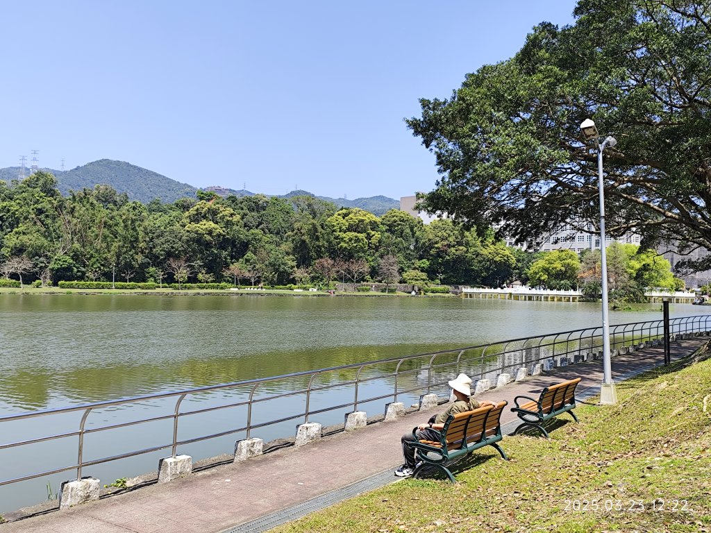 【臺北大縱走 5】碧山巖→忠勇山越嶺步道→金龍產業道路→圓明寺步道→鄭成功廟步道→文間山→劍潭山步道_2744797