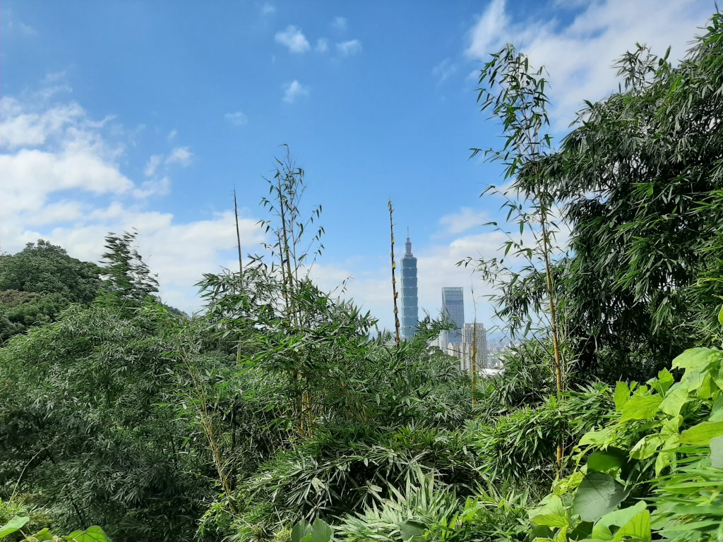 虎、豹、獅、象、九五峰、南港山、拇指山_1145184