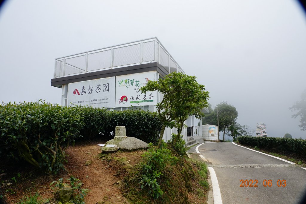 嘉義 梅山 海鼠山_1730040