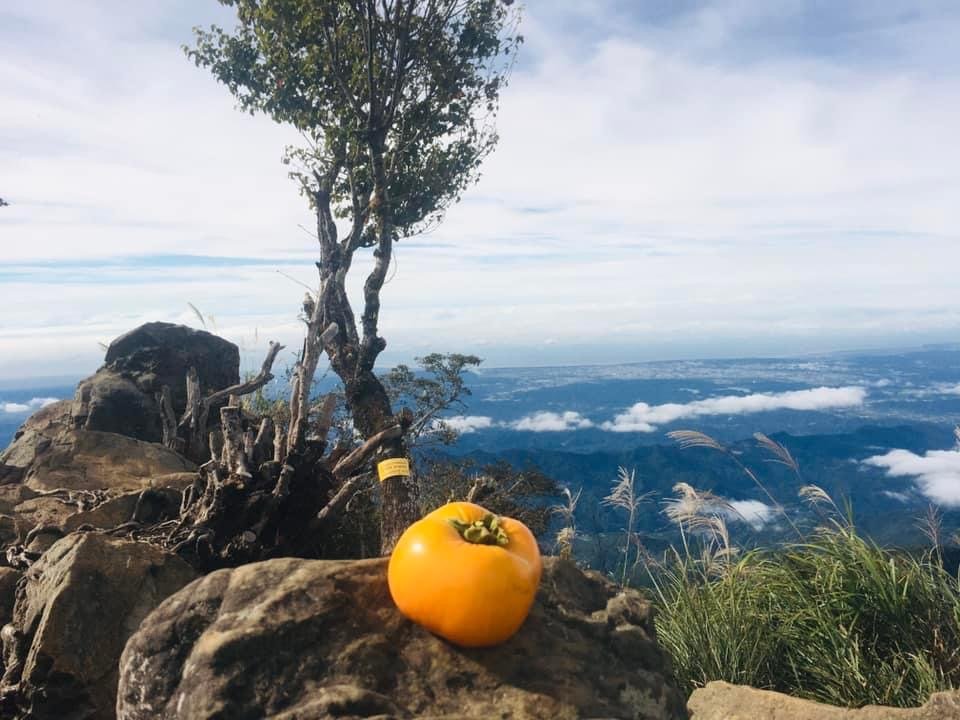 無名山、大坪山、加里山8字走、雲海看到飽_1924769