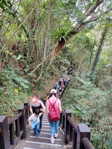 【苗栗南庄】沿途潺潺溪水聲。 蓬萊溪護魚步道_2688899