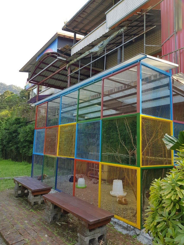 2020.03.15 石碇-烏塗溪步道_880306