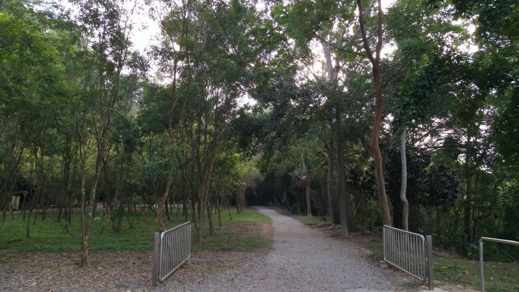 嘉義 山子頂山、紅毛埤山_1488805