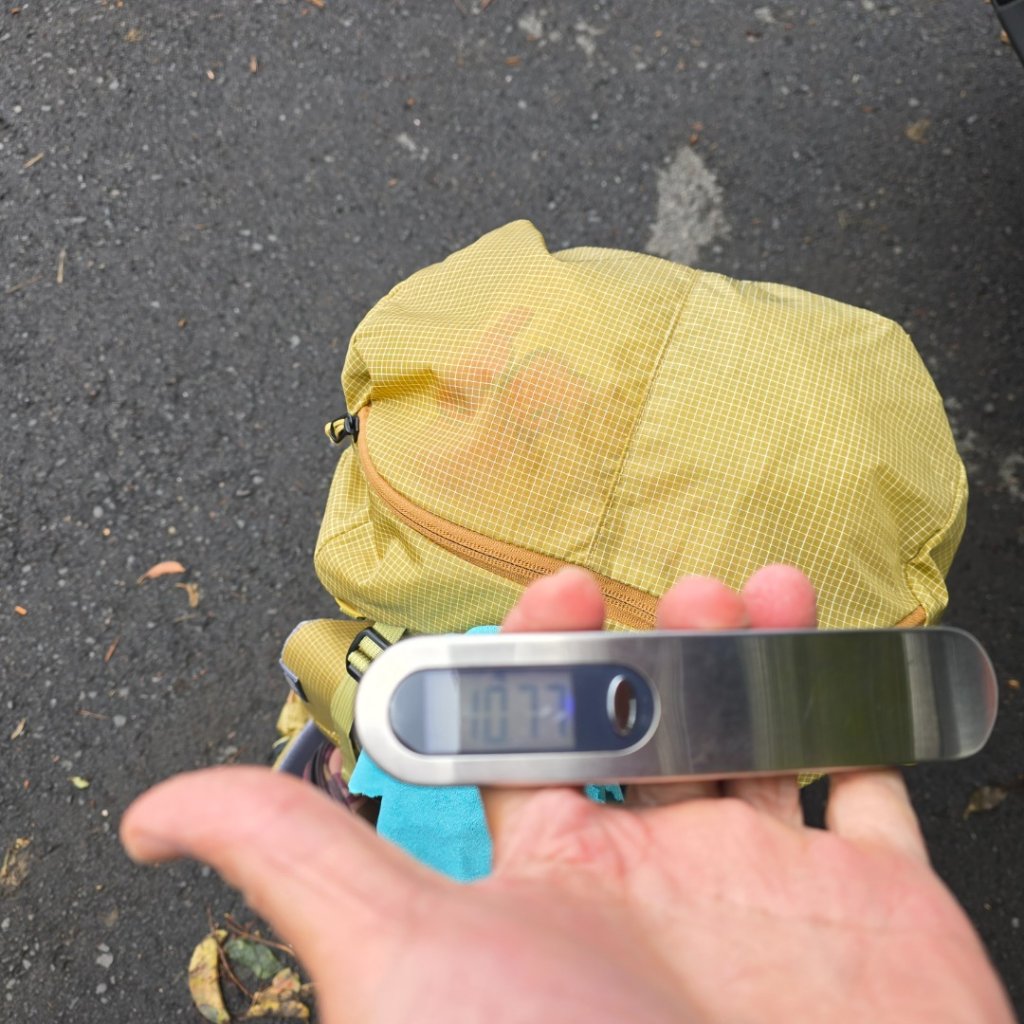 谷關七熊馬崙山_2748773