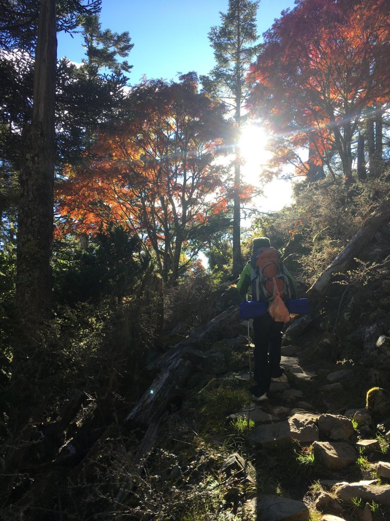 雪山 不下雪_533090