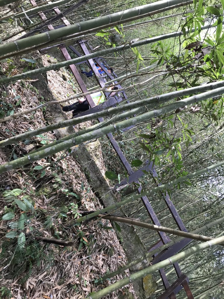 110年5月2日嘉義    青年嶺&雲潭步道_1456664