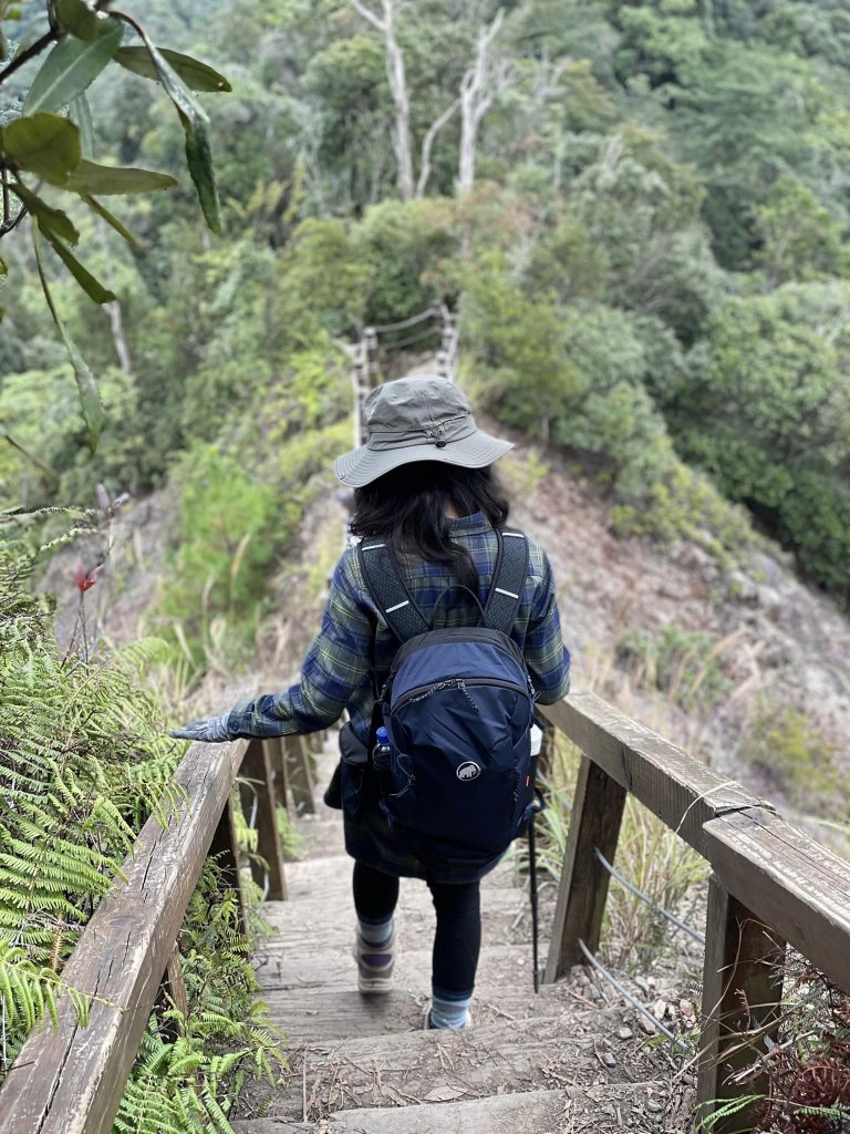 白毛山封面圖