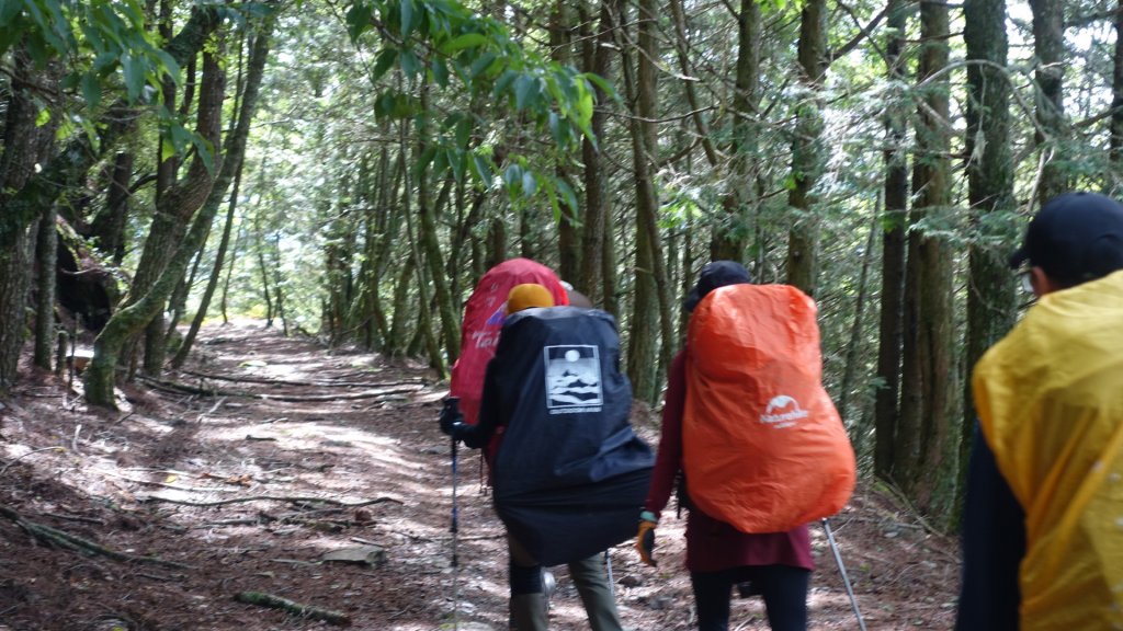 雙龍林道上巒安堂西巒大山_1778566