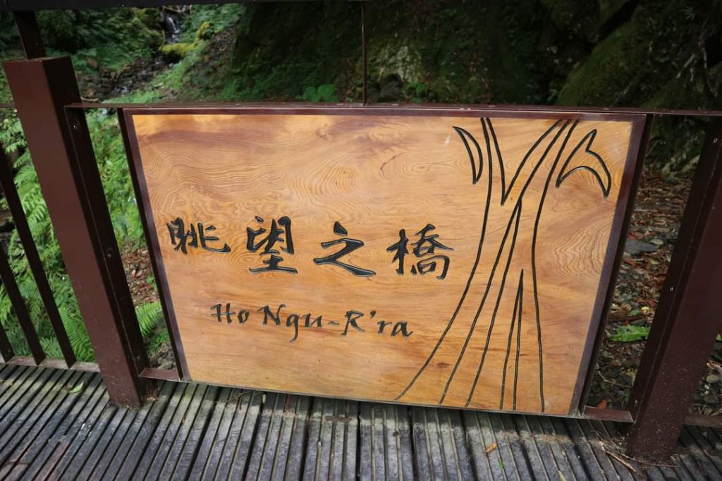 〔桃園復興〕拉拉山巨木，史詩級魔幻森林，75公頃紅檜 扁柏森林浴_2236952