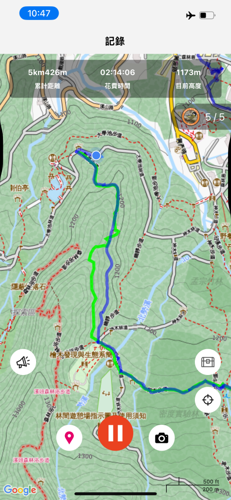 [百山百鳥尋旅-05/15] 2025_0830 溪頭賞鳥步道_觀景步道_2875588