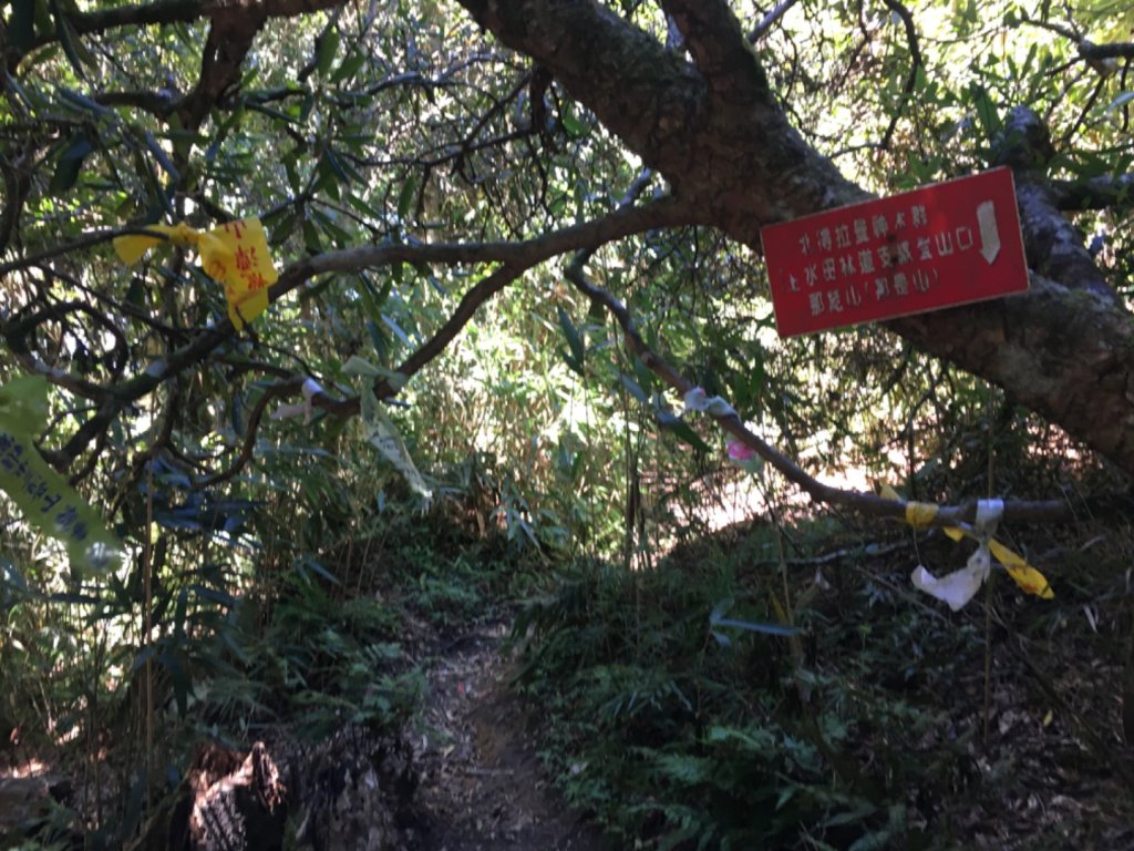 鳥結o. (內鳥嘴、那是山_2595903