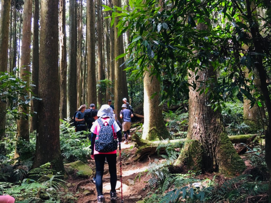 1090704加里山_1026251