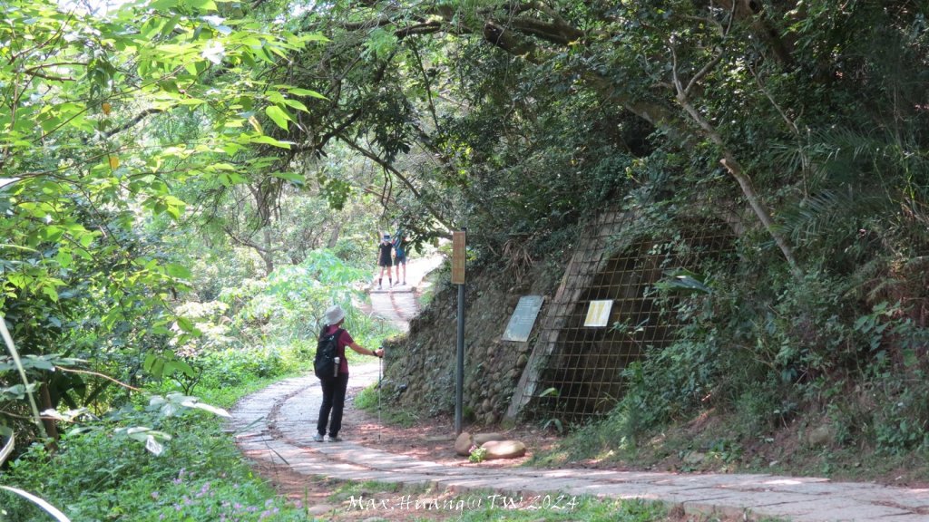 《新竹》百大必訪｜鳳崎落日步道及香山濕地賞蟹步道20240420封面圖