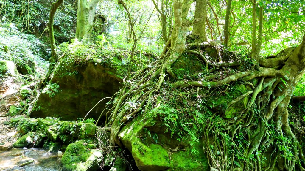 猴崁古道。盧特訪積_2773308