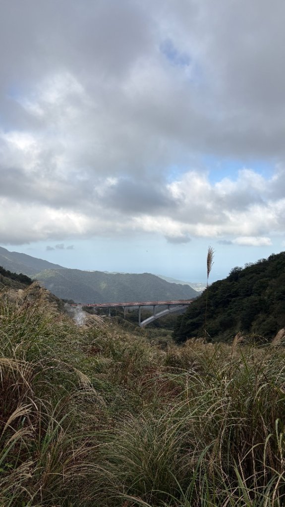 漫遊陽明山_2951933