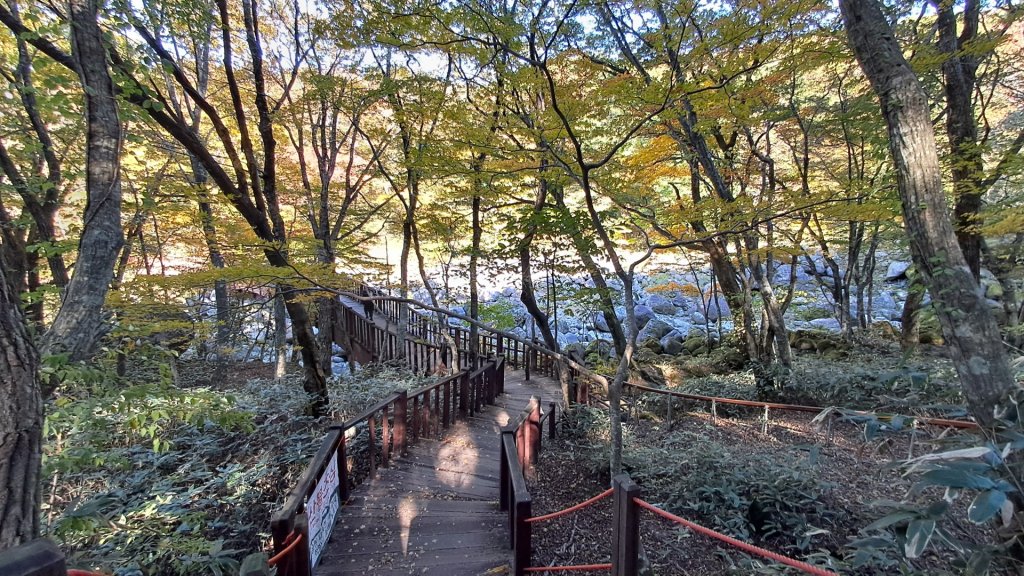 濟州島漢拏山-御里牧路線下_2942749