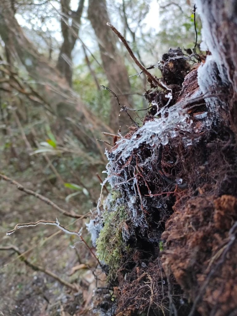 雪季北得拉曼_2956375