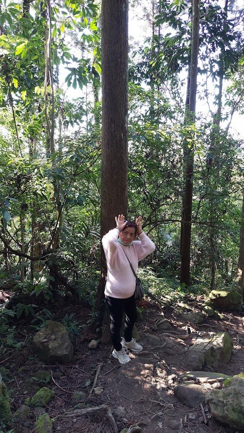 五指山橫向登山步道_2114096