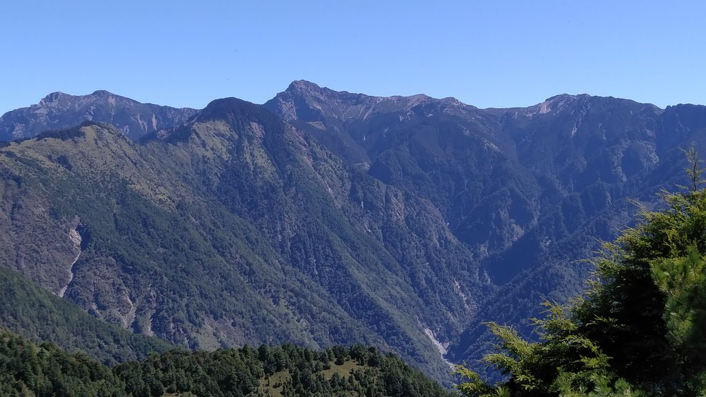 嘉義 阿里山 鹿林山、鹿林前山、真鹿林山、石水山_1487537