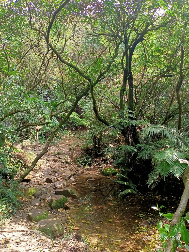 【臺北大縱走4】風櫃嘴→雙溪溝古道→五指山古道→大崙頭山北面步道→許願步道→圓覺寺步道→大溝溪→大湖_2469087