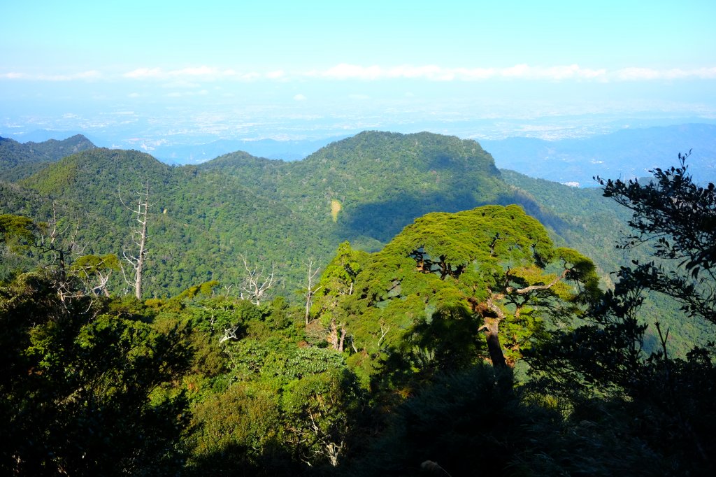 光影森林-那結山縱走貴妃山_773700
