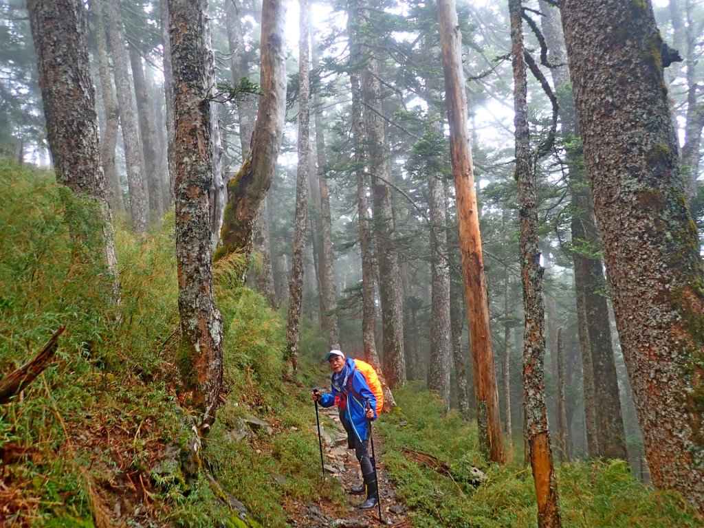 30年後重逢玉山西北峰--西峰    _669213