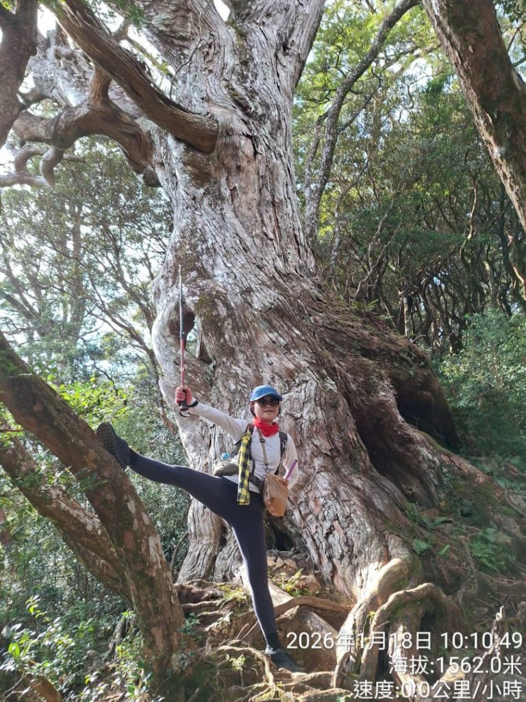 20260118南插天山.魯培山.上宇內山(南插北峰)_2989853