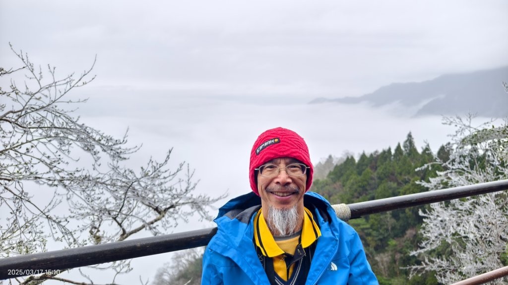 #望洋山 #太平山觀雲步道 #霧淞 #雲海 #帝雉 3/17封面圖