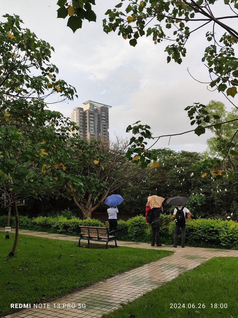 大安森林公園、寧夏夜市、士林夜市【走路趣尋寶】【臺北健走趣】_2536339