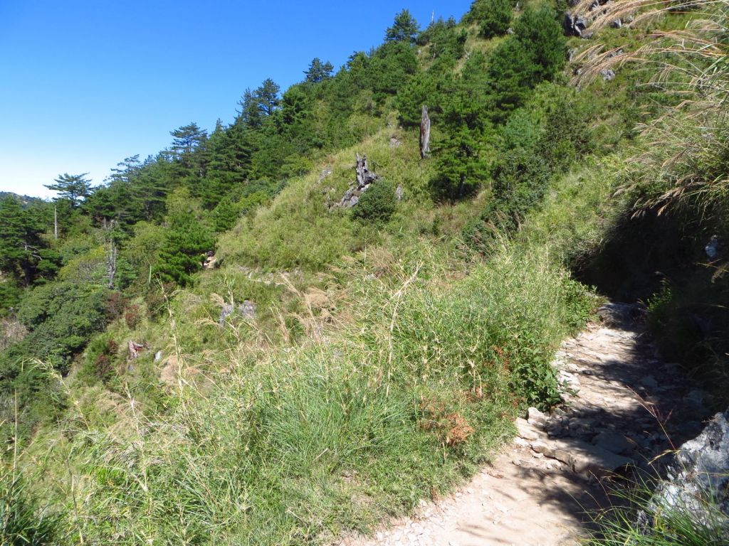 玉山前峰一日遊_221149