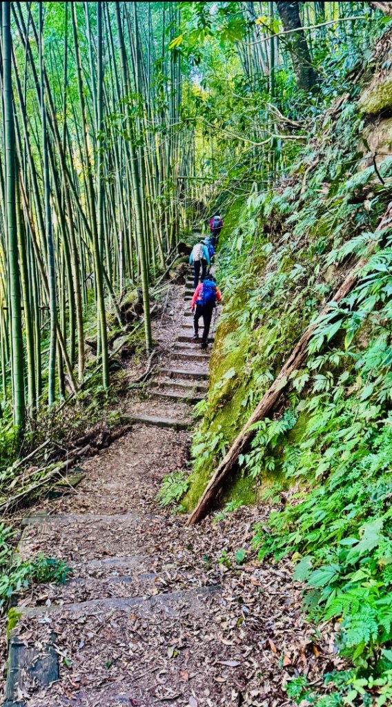 九穹神木 左訪嘉南雲峰 右到好望角看風景上石壁山(小百岳#55)_2944823