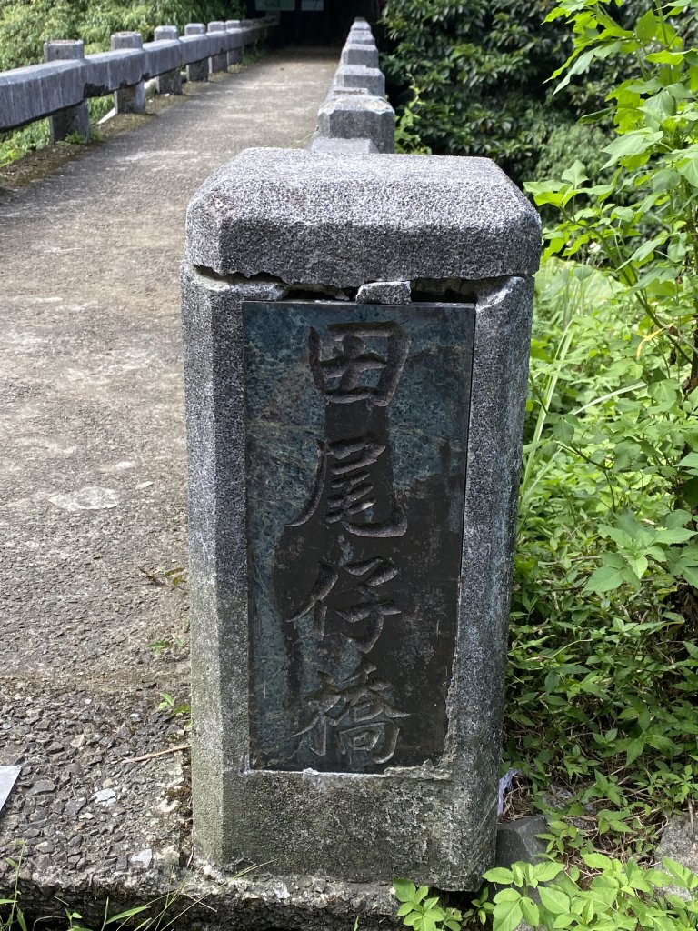 內雙溪的消暑密碼｜走一趟坪頂古圳就懂_2873196