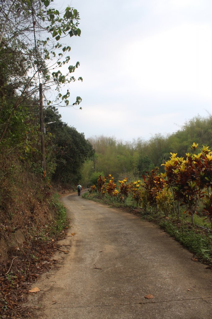 20230429高雄月茶縱走_2138569