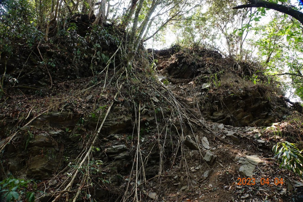 屏東 瑪家、泰武 真笠山、鱈葉根山、日湯真山_2103127