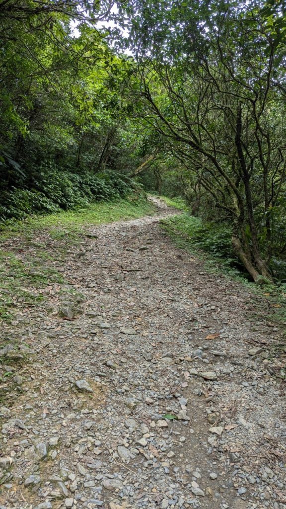 113.06.22坪溪古道-石坑山之旅_2533767