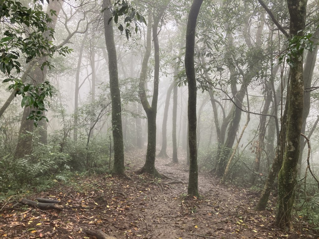獅仔頭山登山步道_2437042