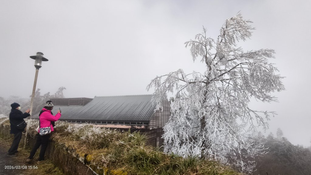 #霧淞 #雲海 #雲瀑 #霧虹 #太平山 #望洋山 #觀雲步道 #翠峰道路  2/8_2995374