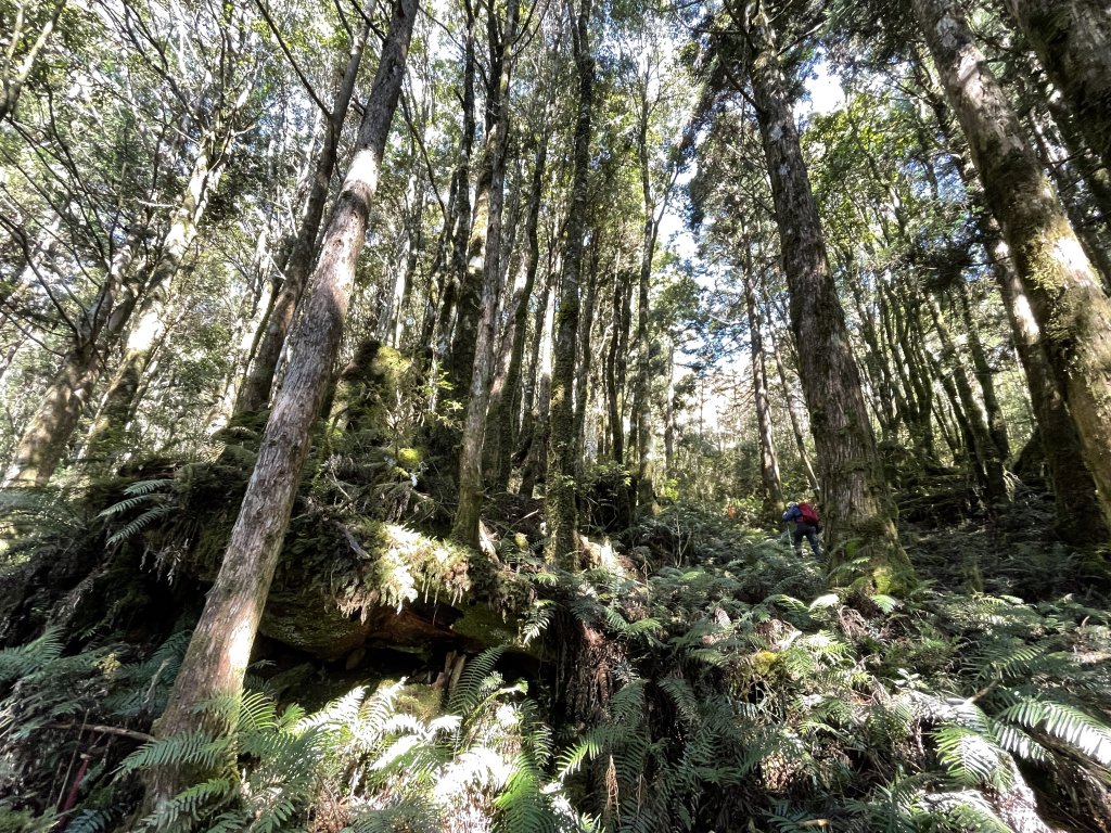 魔幻森林三星山與三星池_1658260