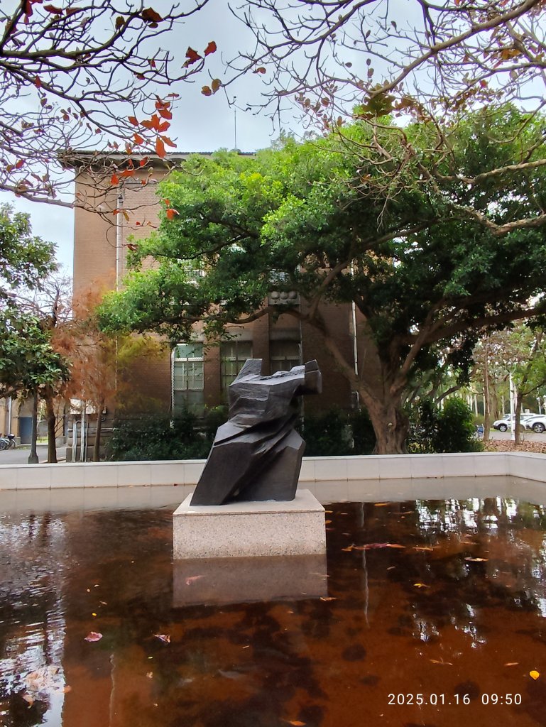 4-1 國立臺灣大學校園巡禮_2691941